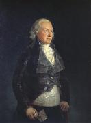 Francisco Goya Don pedro,duque de osuna china oil painting artist